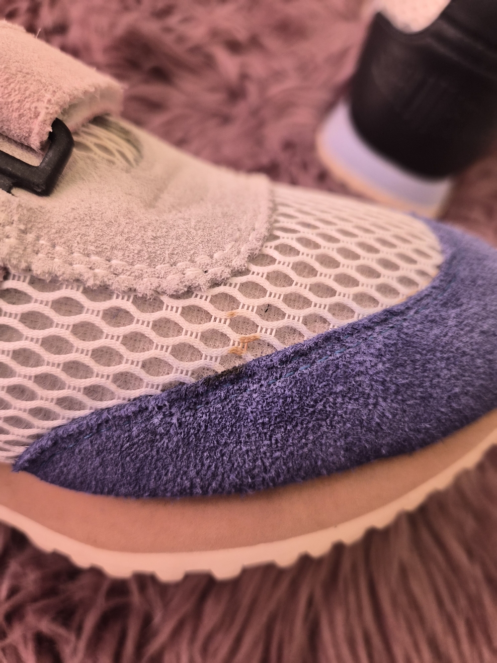 Charlotte Stone Conway Sneaker - Picture 4 of 5